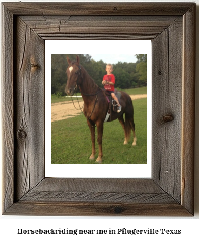 horseback riding near me in Pflugerville, Texas